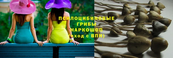 мяу мяу мука Абаза
