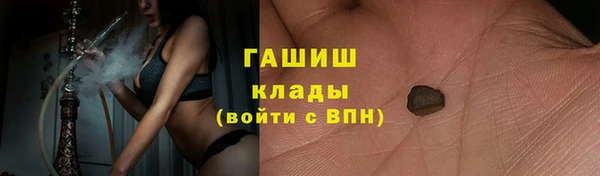мяу мяу мука Абаза