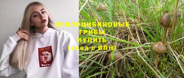 мяу мяу мука Абаза