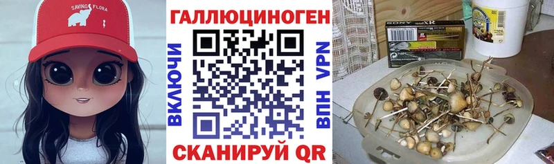 MEGA рабочий сайт  Камышлов  Галлюциногенные грибы мухоморы 