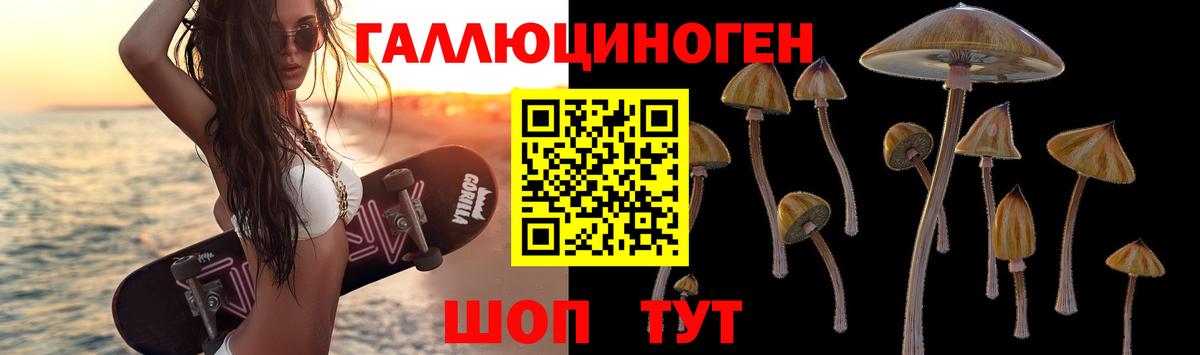 Псилоцибиновые грибы Psilocybine cubensis  Вход с VPN  Камышлов 